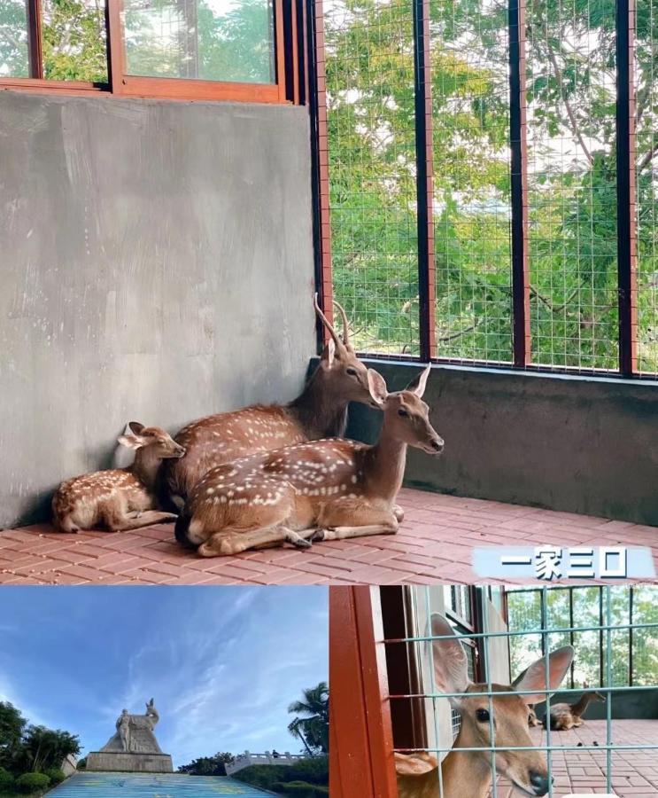 Summer Tree Inn ซานย่า ภายนอก รูปภาพ
